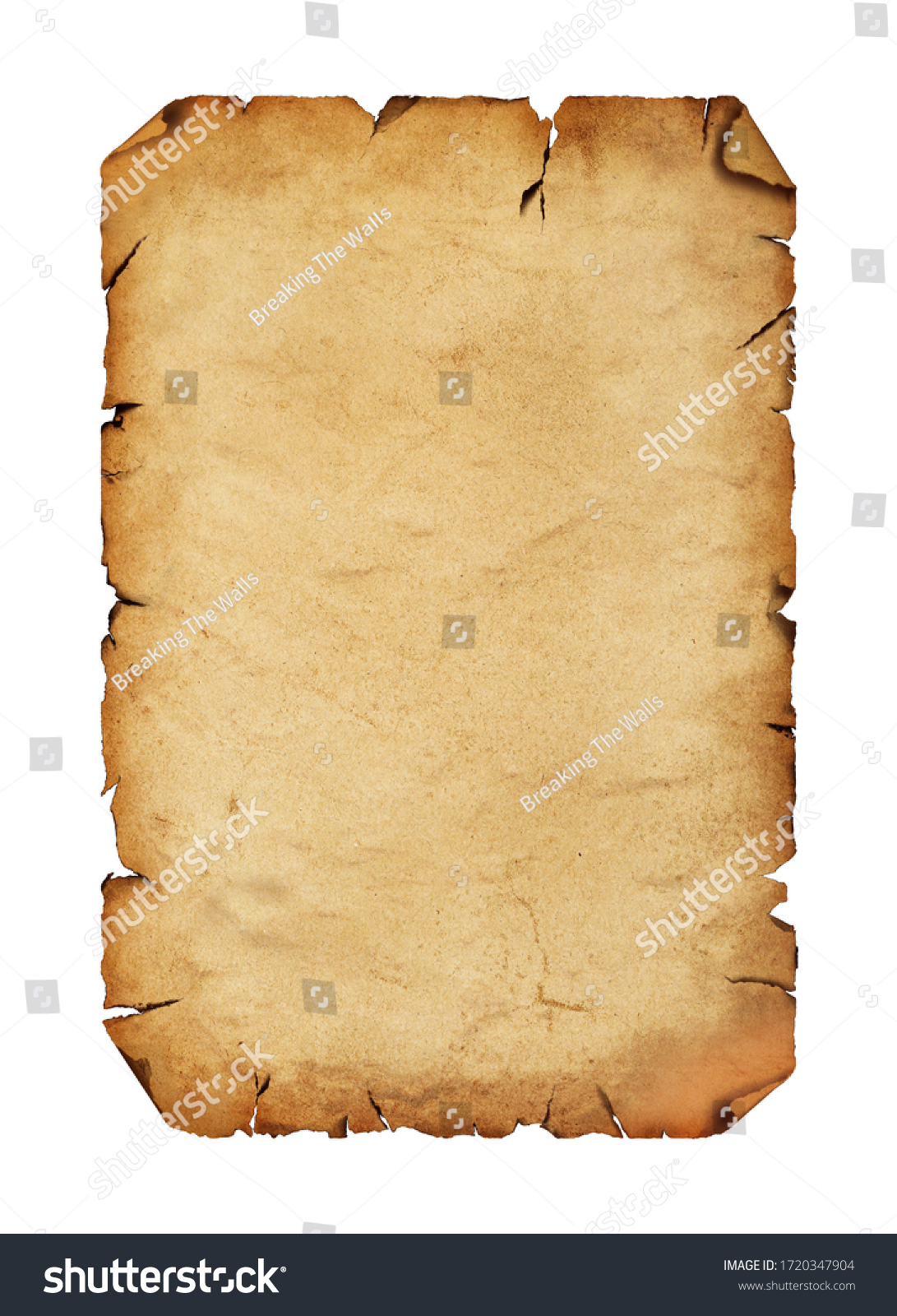Close up one blank old antique vintage brown paper parchment scroll with copy space isolated on white background #1720347904