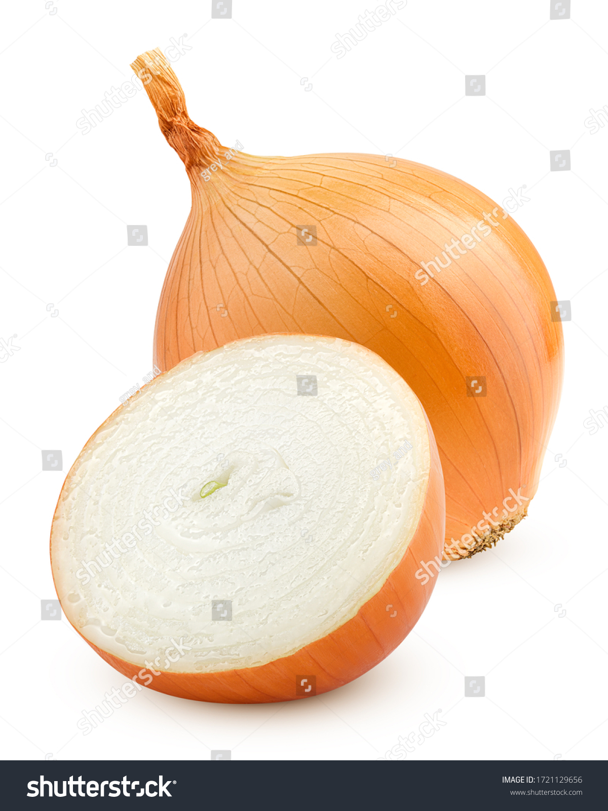 onion, isolated on white background, clipping path, full depth of field #1721129656