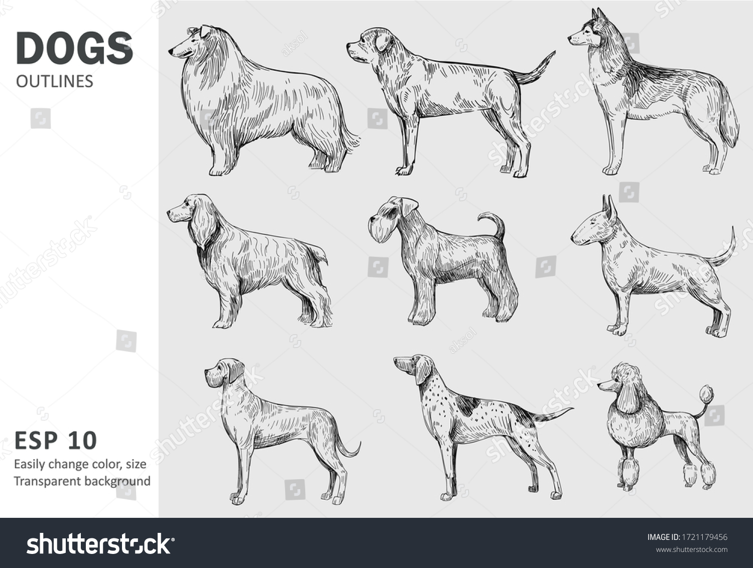 Set of popular breeds of dog. Hand drawn vector - Royalty Free Stock ...