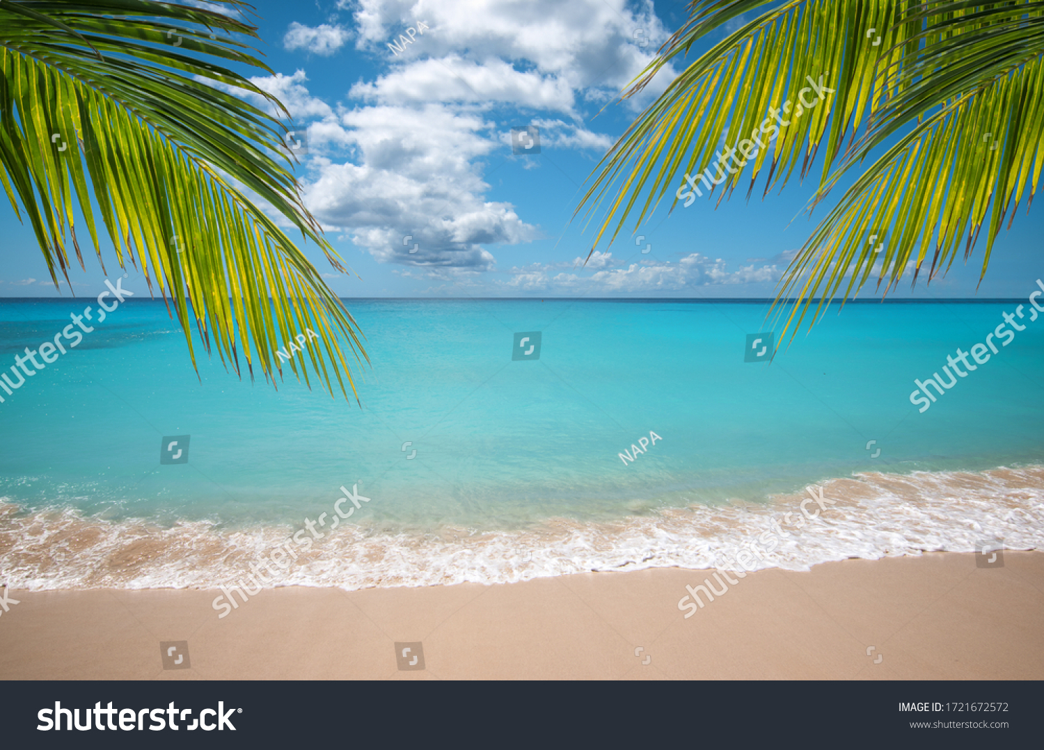 Tropical vacation paradise with white sandy beaches and swaying palm trees. #1721672572
