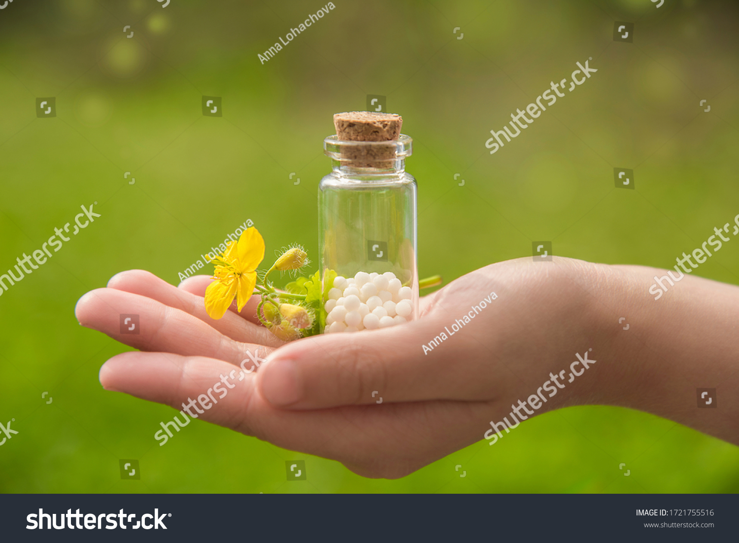 
container with homeopathic granules  on a young hand in the background of beautiful sunlight #1721755516