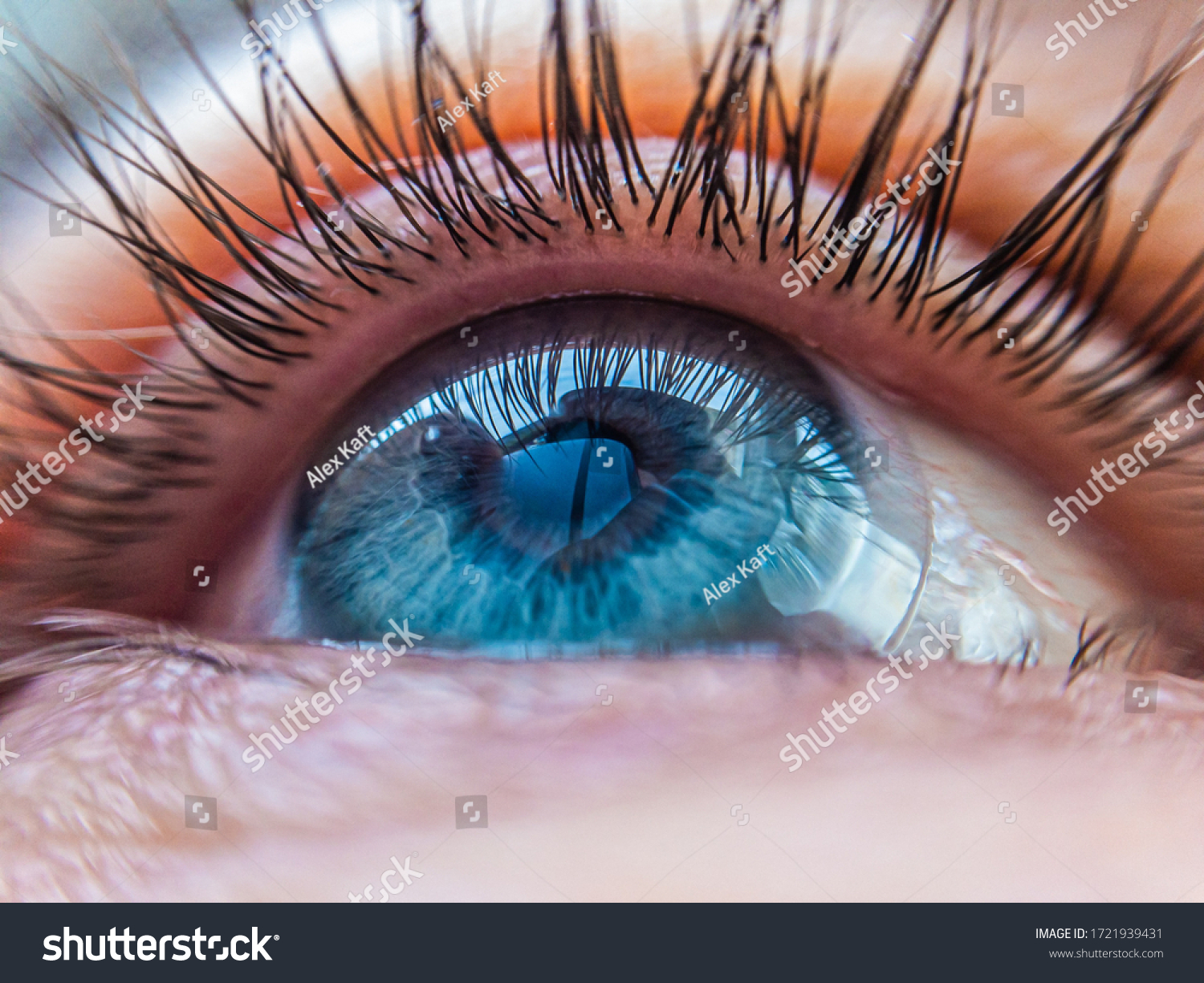 caucasian human blue eye in a contact lens looking up close up. contact lens vision medical correction concept #1721939431