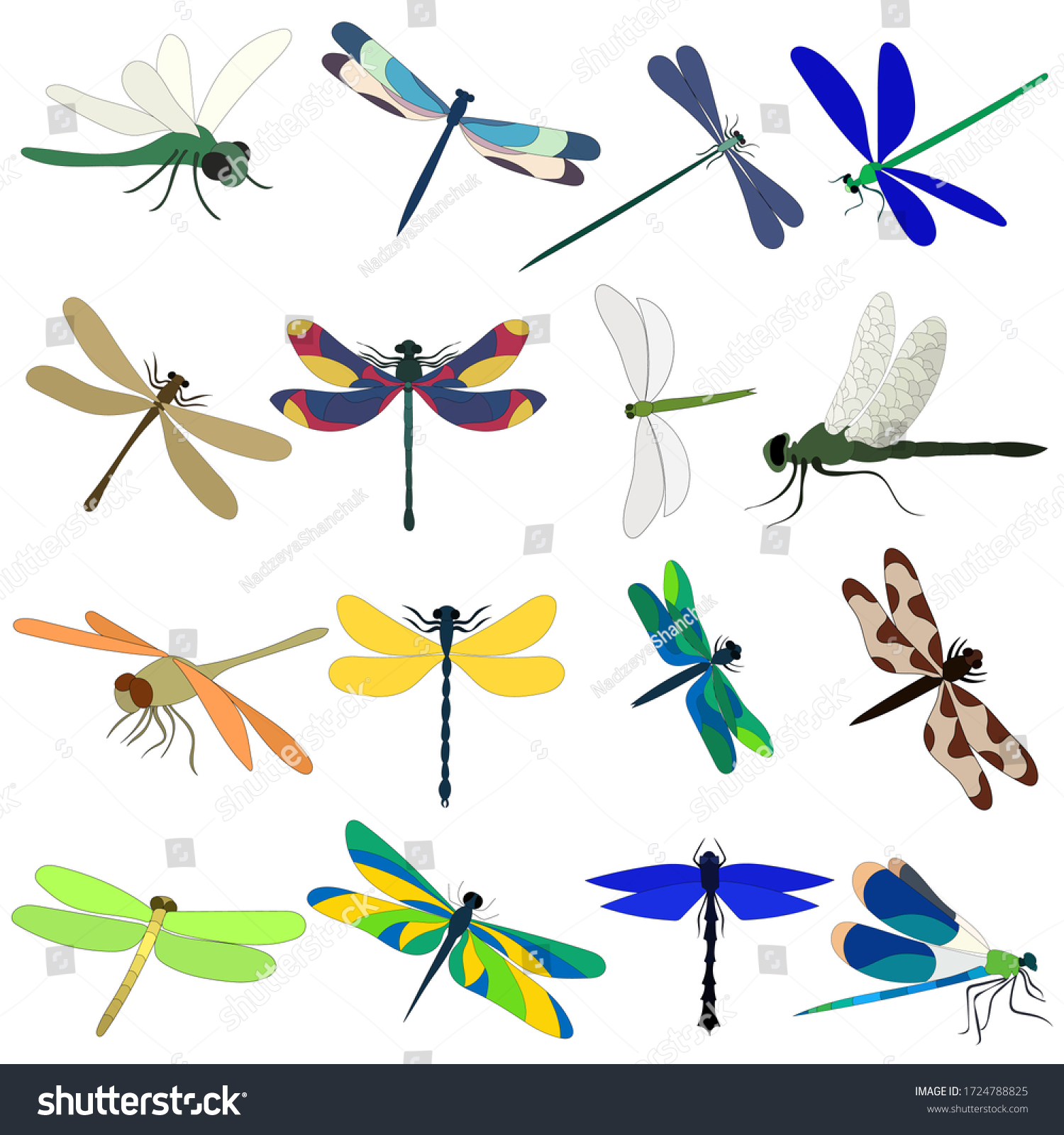 vector, white background, dragonfly, insect, set #1724788825