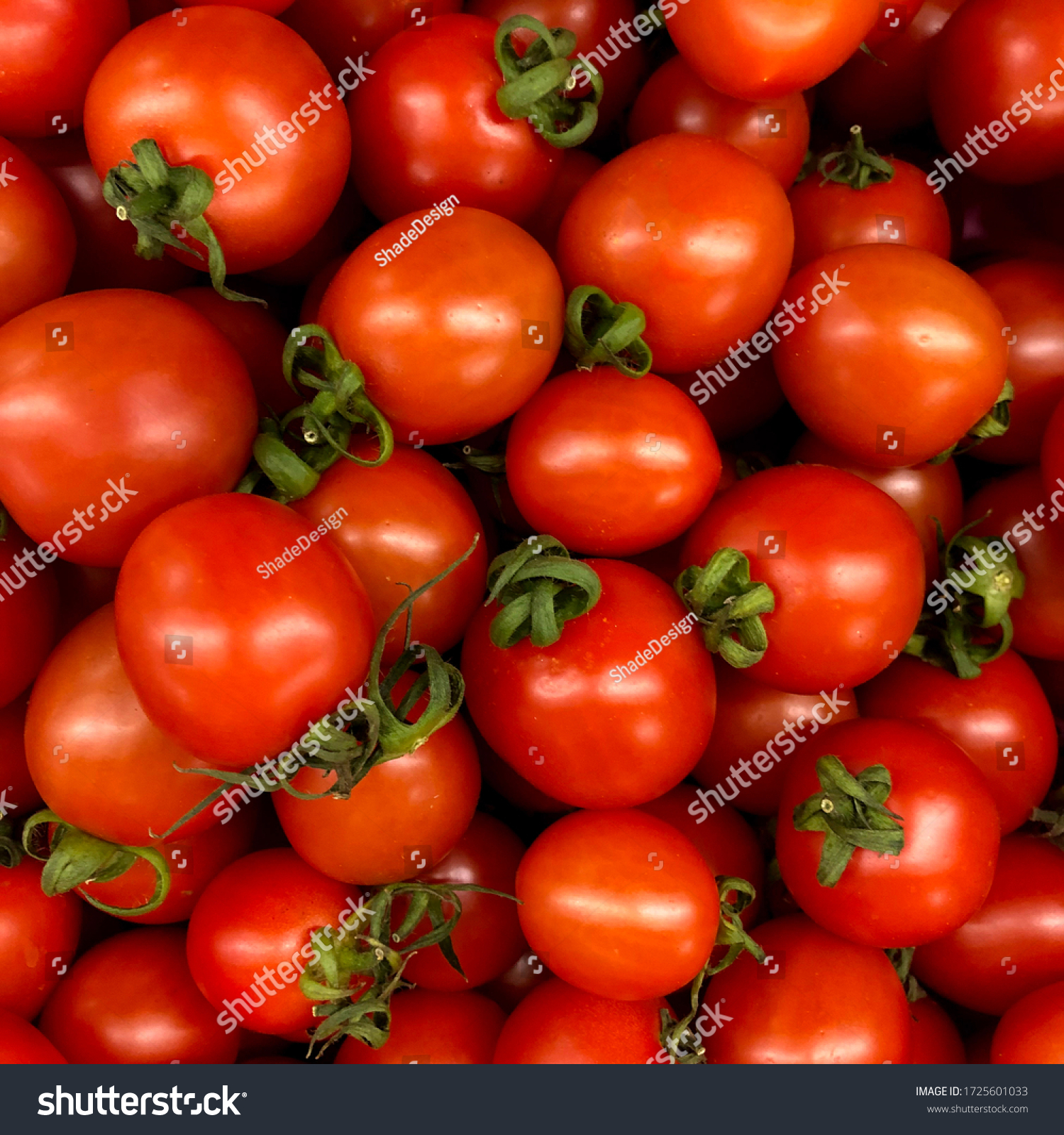 Macro photo of a vegetable red cherry tomato. Fruit vegetables tomato lies in rows. Stock photo  Background small tomatoes cherry  #1725601033