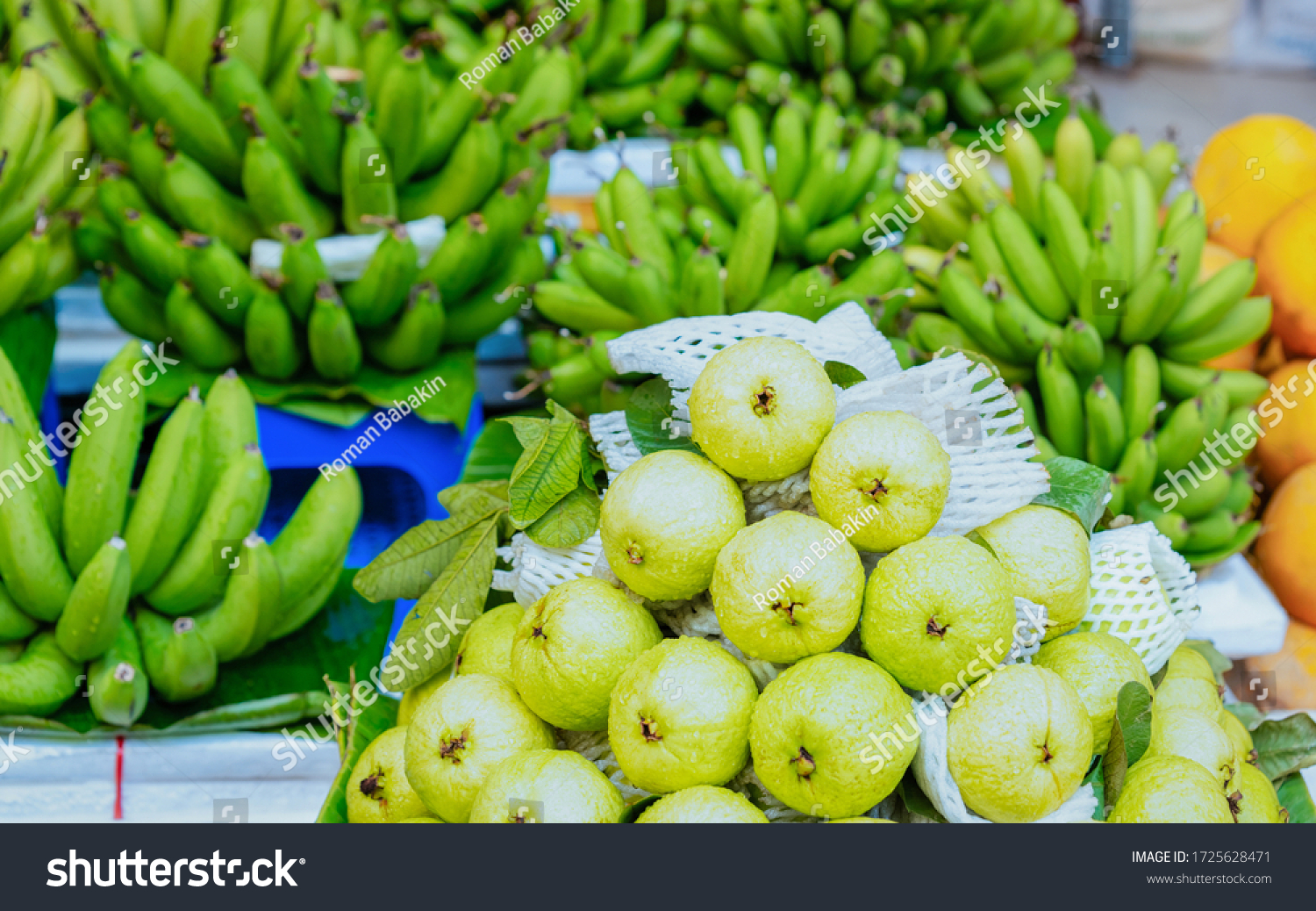 Green guava and banana fruit as Exotic tropical asian food in Hanoi in Vietnam. Street market with Vietnamese cousine. Local produce from garden. Healthy vegetarian stuff. Fruit #1725628471