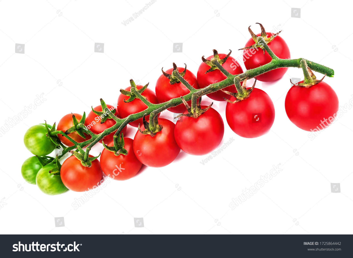 lush and ripe cherry tomato twig isolated on white #1725864442