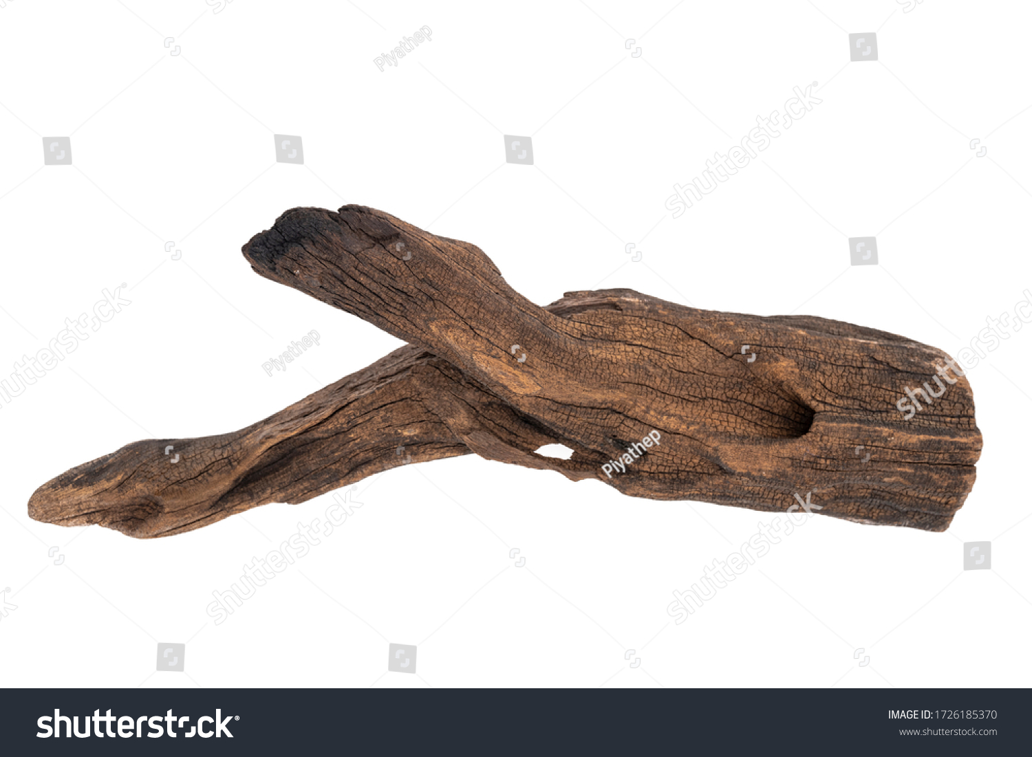 dry branches of tree isolated on white background #1726185370