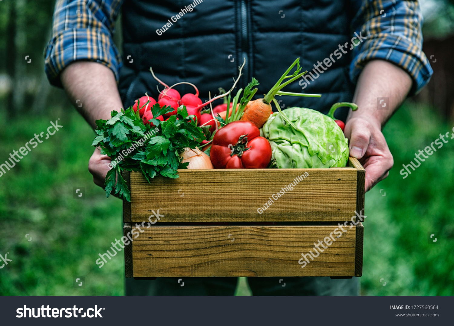 Wooden box with fresh farm vegetables in man's hands outdoors. #1727560564