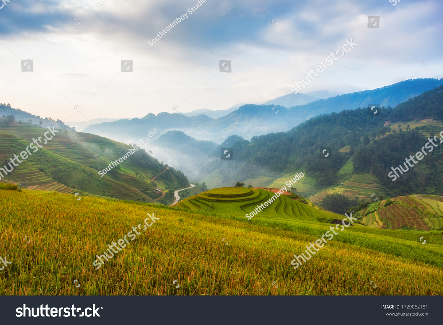 Terraced rice paddy field landscape of Mu Cang Chai, Yenbai, Northern Vietnam #1729062181