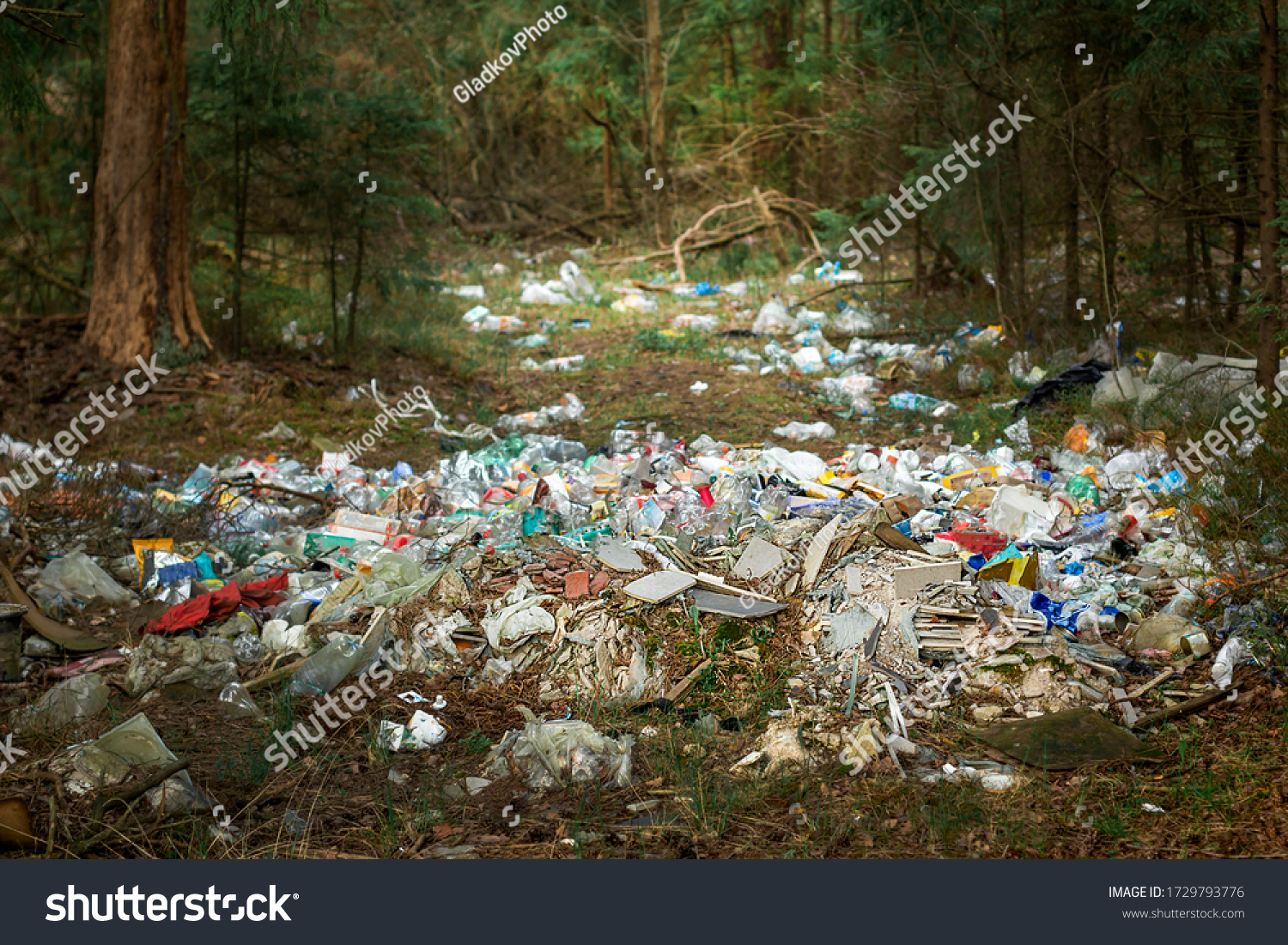 There is a lot of garbage in the forest. The concept of human pollution of forests and nature. A terrible dump in the woods. #1729793776
