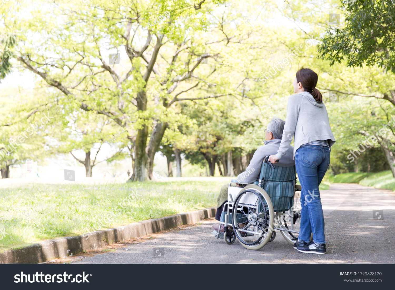 Rear view of elderly man in wheelchair and care helper #1729828120