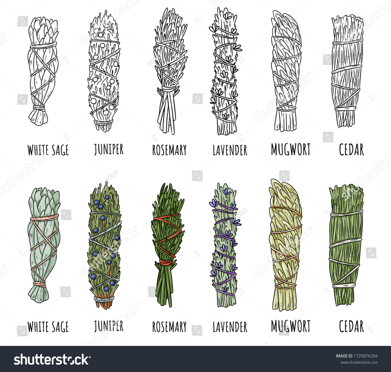 Set of sage and herbs sage smudge sticks bundles. Vector stock hand-drawn set of isolated doodles on white background. Collection of bundles. Sage, rosemary, lavender, cedar, juniper, mugwort #1729876204