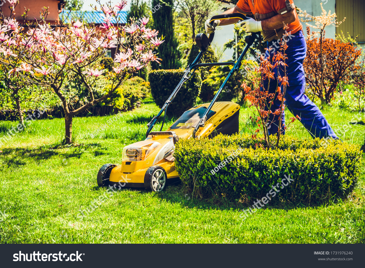 Mowing the grass. A man mows the grass with an electric mower. The concept of working in the garden and caring for the beauty of the garden. The gardener mows the grass with a battery mower.  #1731976240