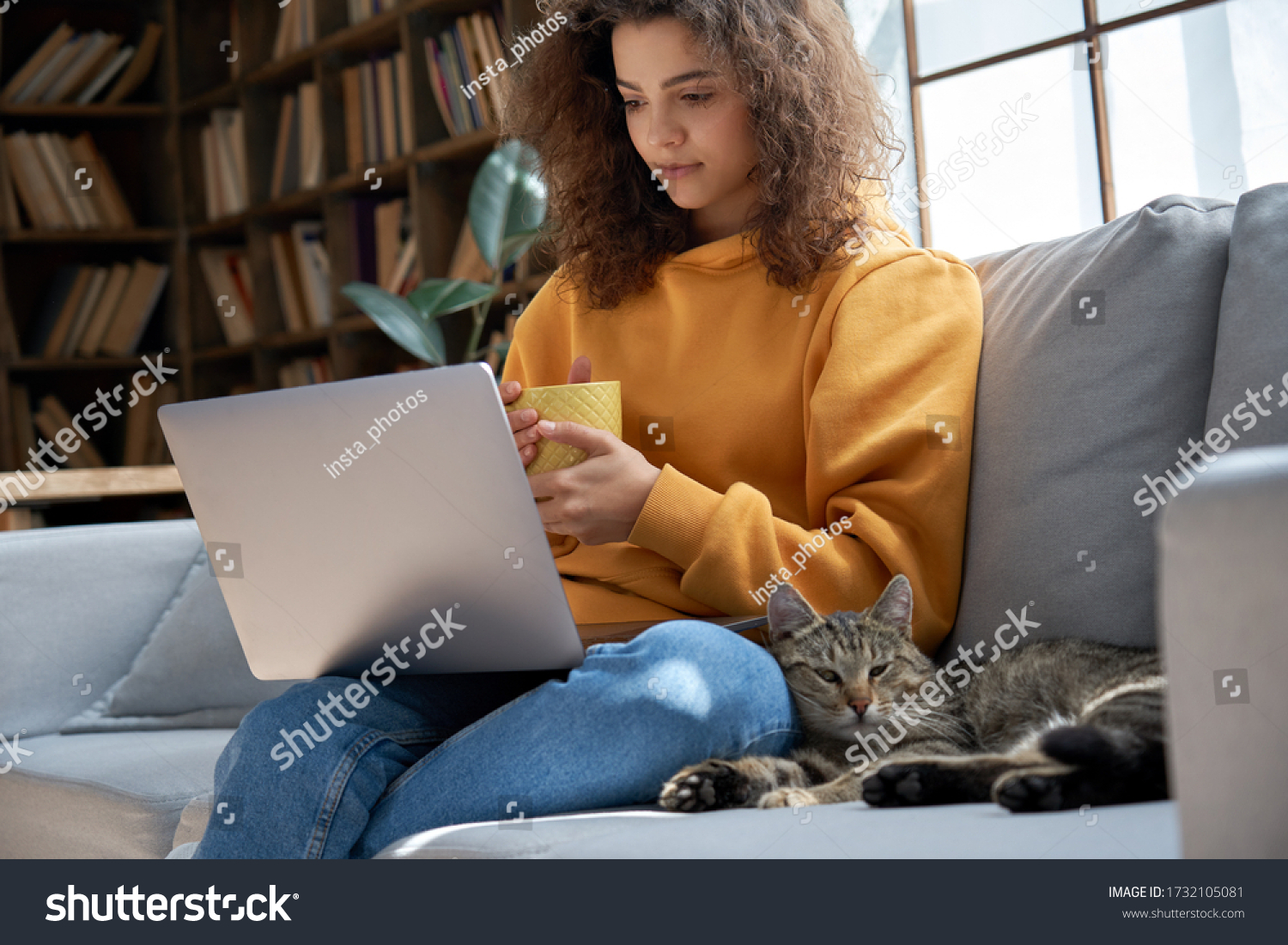 Young hispanic latin ethnic teen girl relaxing sit on comfortable sofa with cute pet cat watching remote education webinar class, movie series on laptop drinking warm tea in cozy sunny living room. #1732105081