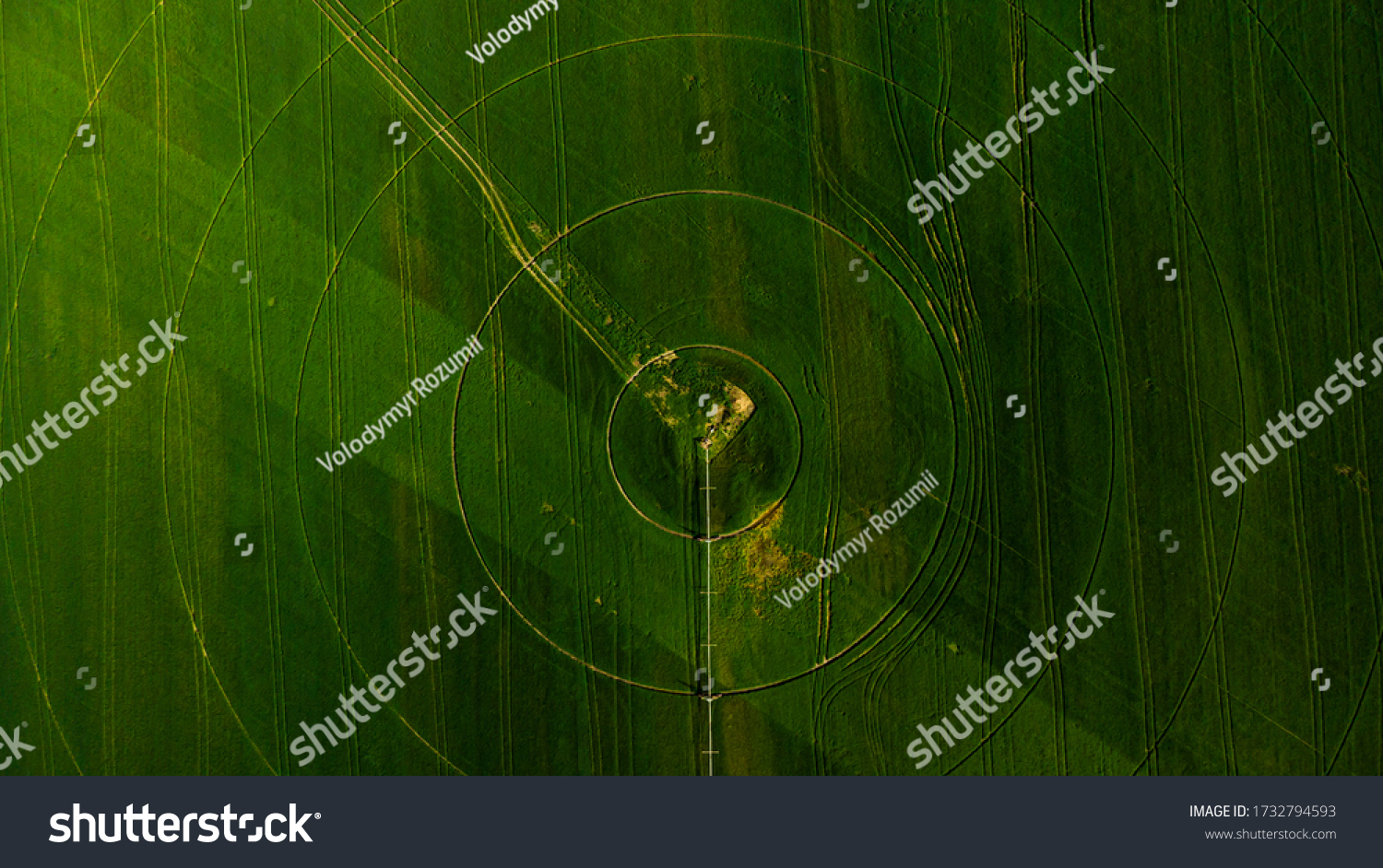 Agriculture aerial view with circular crop irrigation #1732794593
