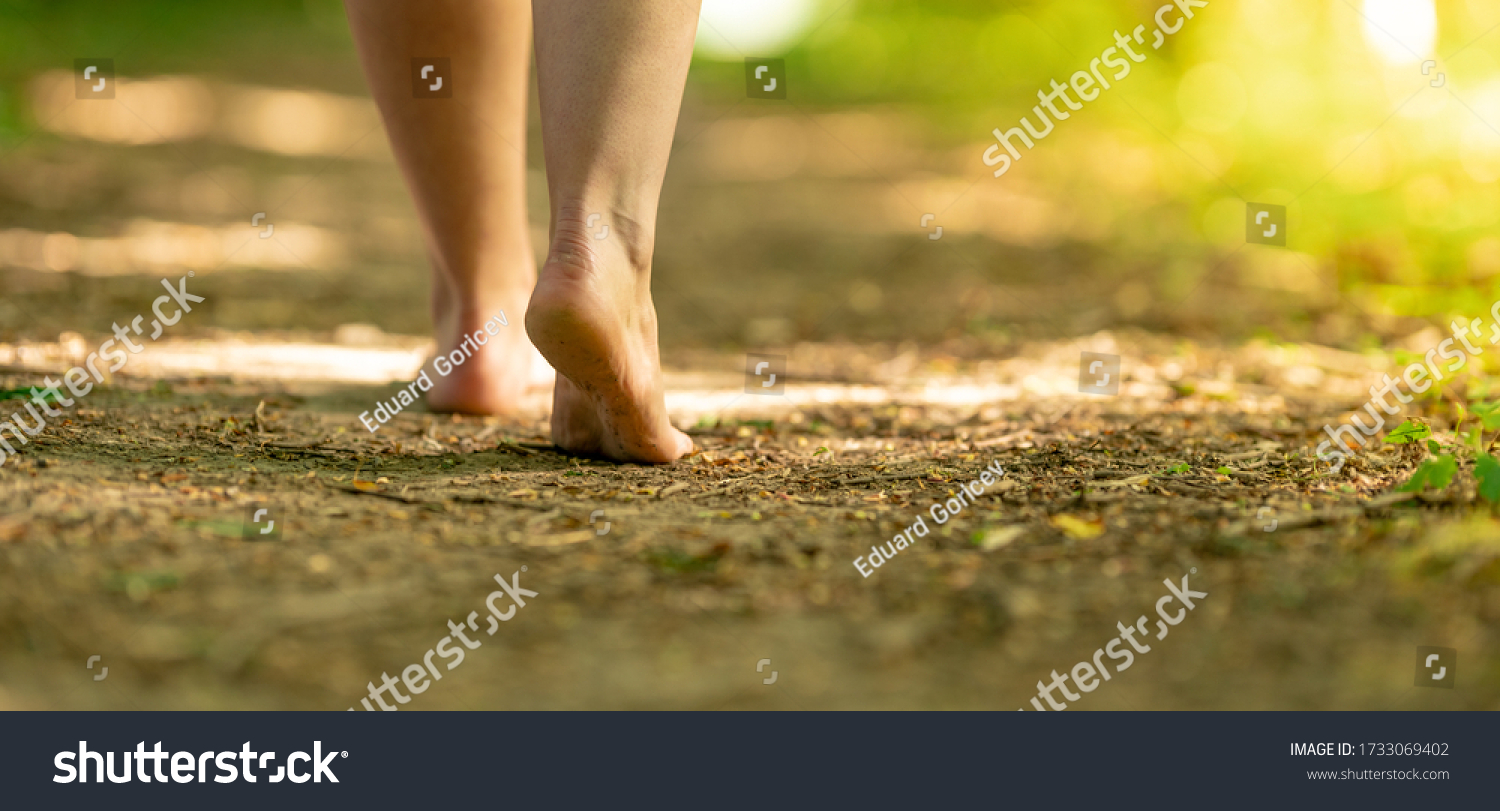 bare feet of a woman walking along a trail in the woods #1733069402