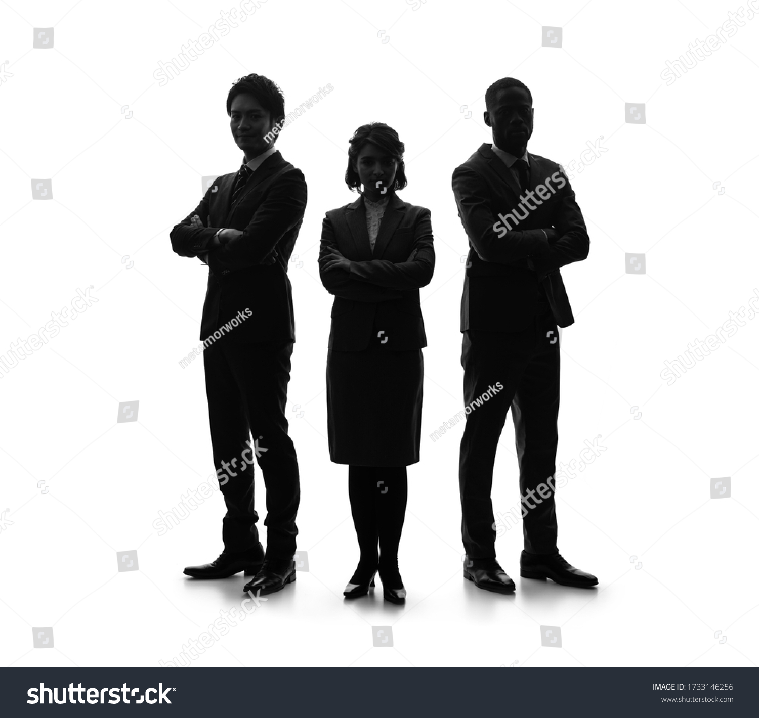 Silhouette of group of businessperson. Partner of business. #1733146256
