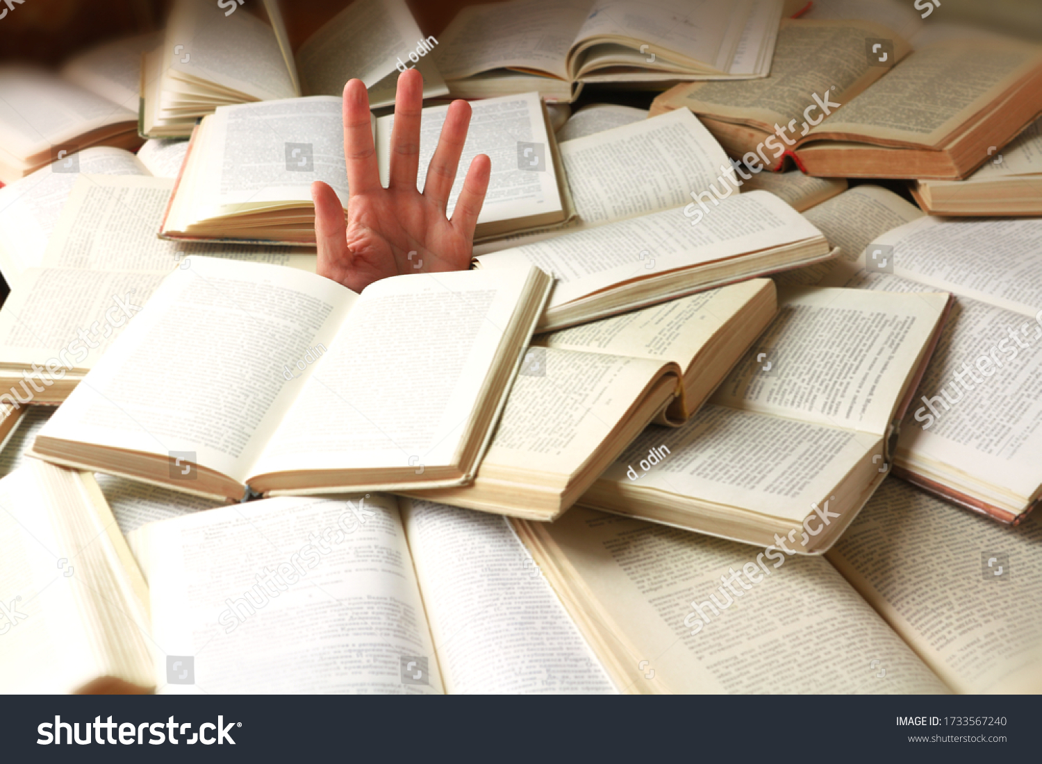 A student or reader drowned in a mountain of books. Man's hand sticks out from the rubble of open books. Concept - preparing for exams or excess information. Selective focus. #1733567240