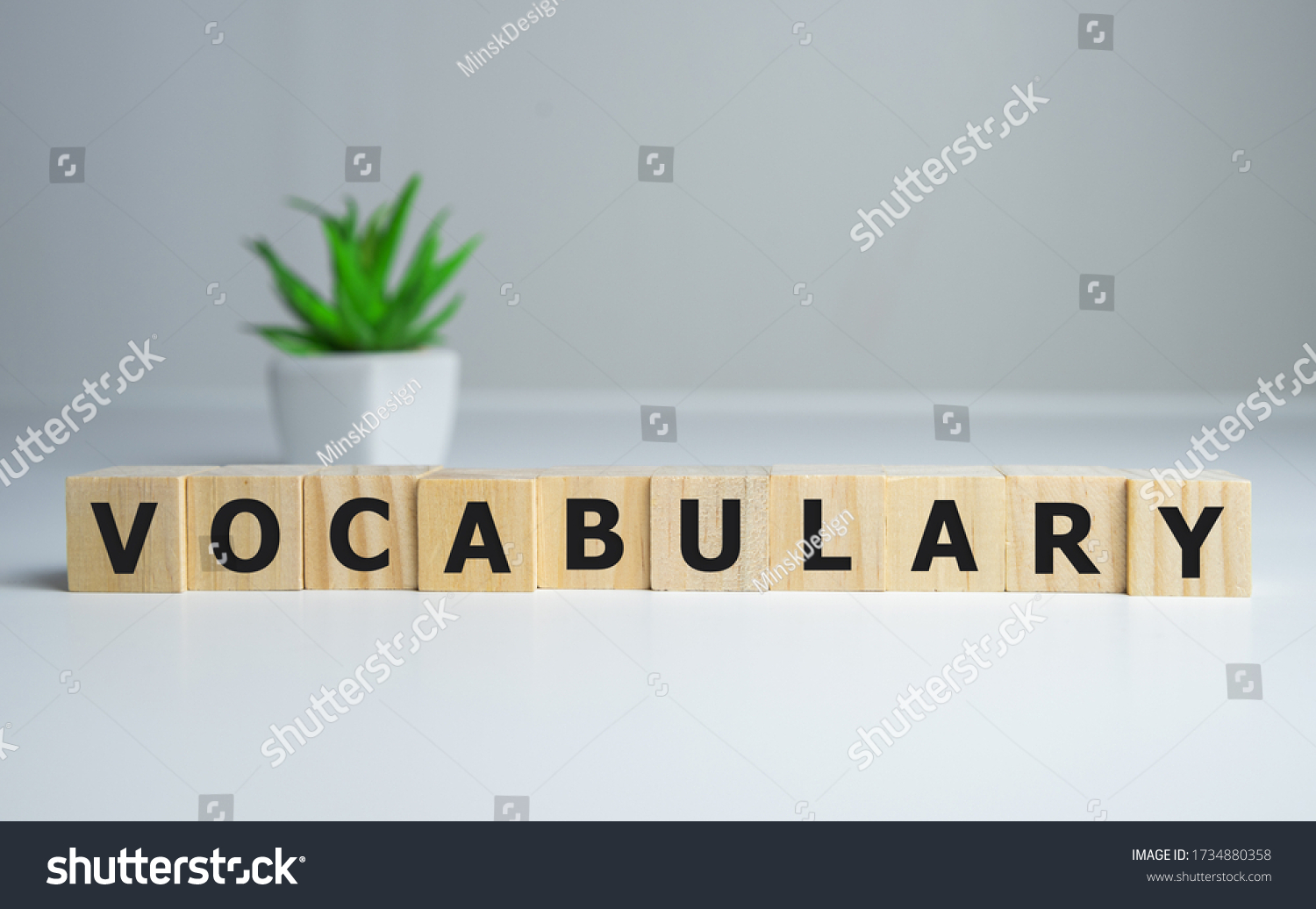 Vocabulary word on wooden cubes, english concept. #1734880358