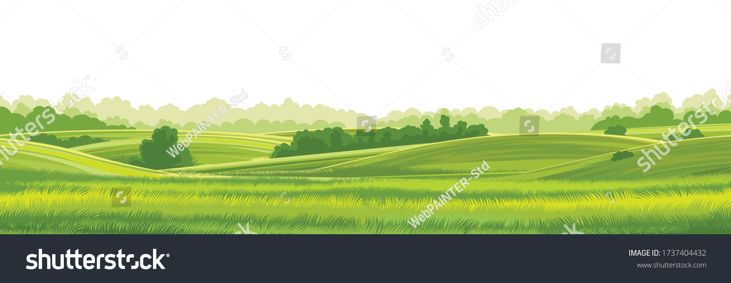 Rural hills  landscape vector background on white. Pasture grass for cows. Meadows and trees. Horizon. #1737404432
