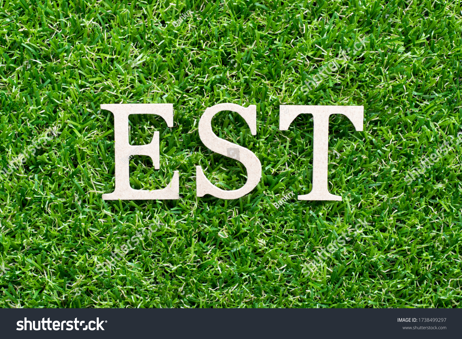 Wood alphabet in word EST (abbreviation of established, estimated, eastern time zone, expressed sequence tag)  on artificial green grass background #1738499297