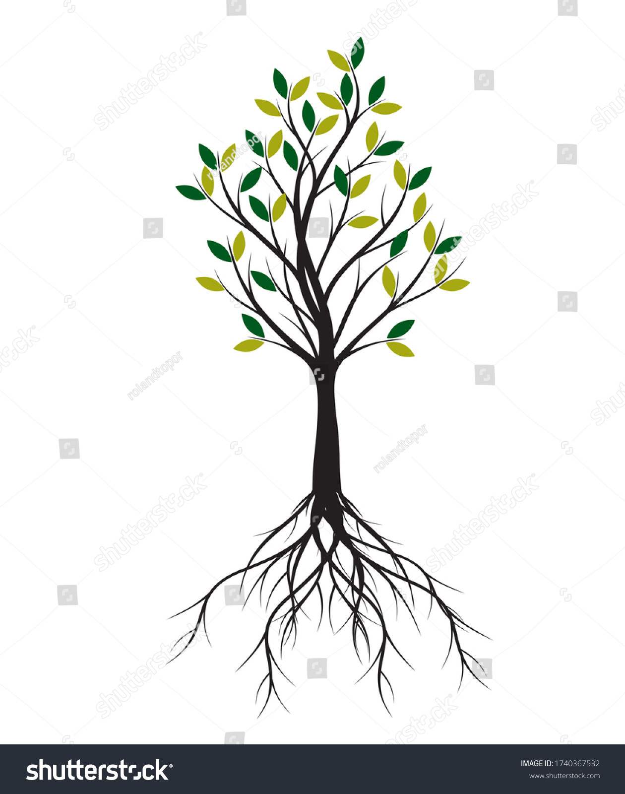 Green Spring Tree. Roots And Leaves. Vector - Royalty Free Stock Vector 