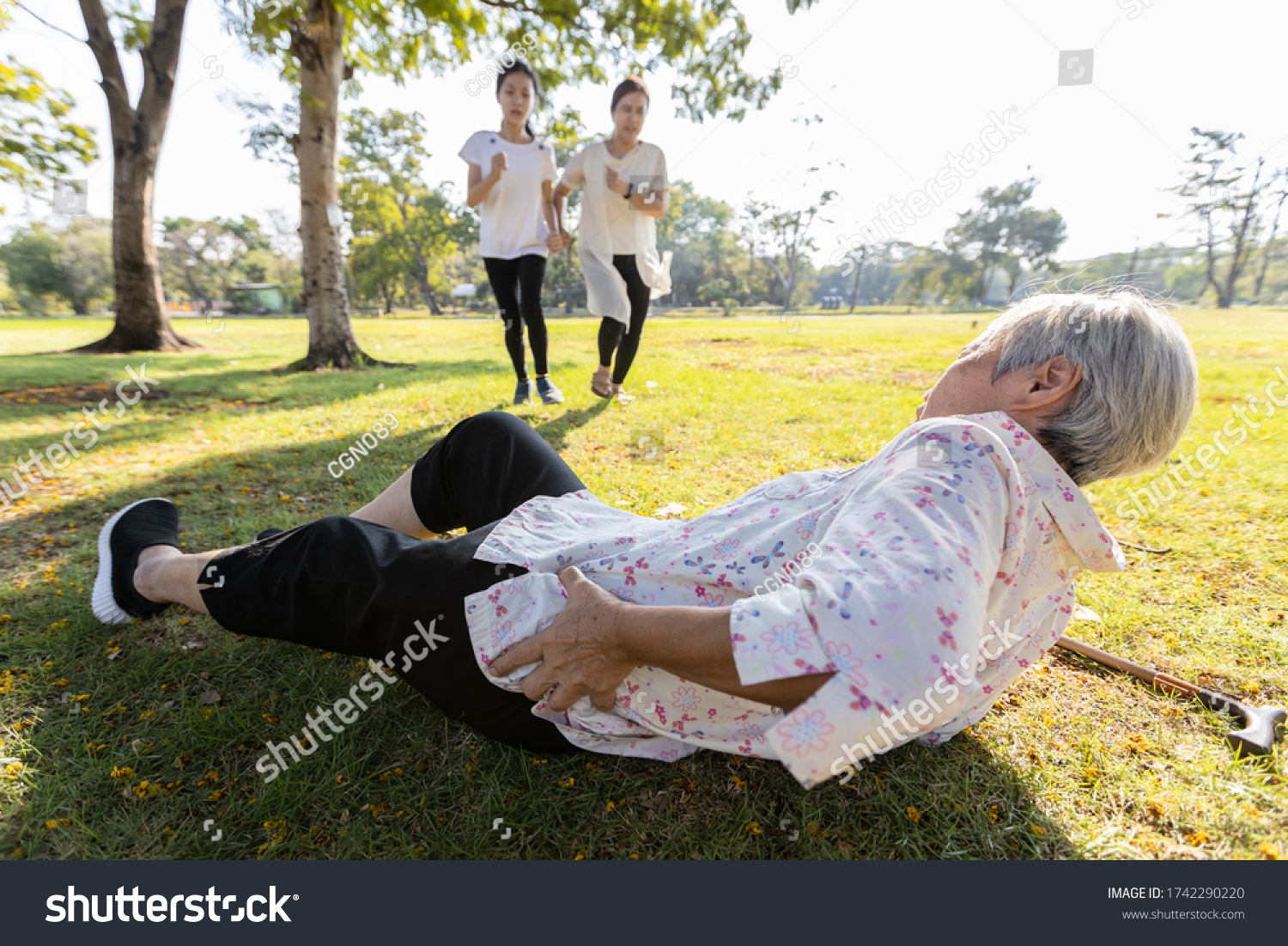 Senior woman is holding her hip,severe pain in her muscle,broken bone,injury to the waist,old elderly lying on the ground,she fell down while strolling,daughter,granddaughter ran to help grandmother #1742290220