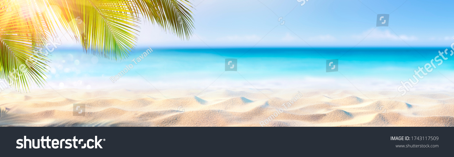 Summer Banner - Sunny Sand With Palm Leaves In Tropical Beach #1743117509