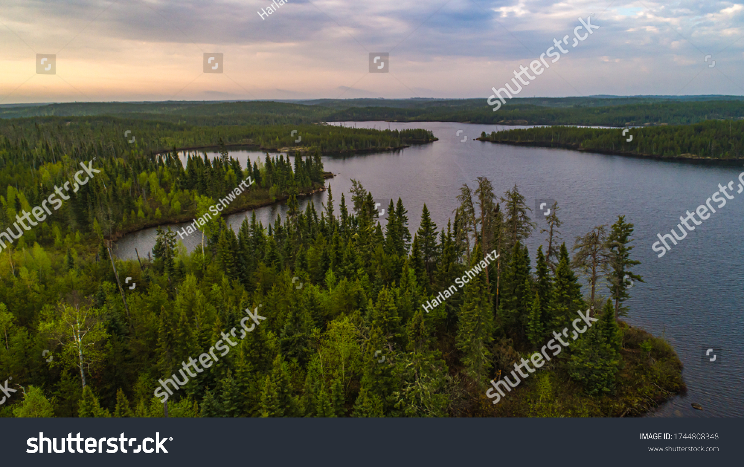 Drone / Aerial view of the northern Boreal Forest  #1744808348