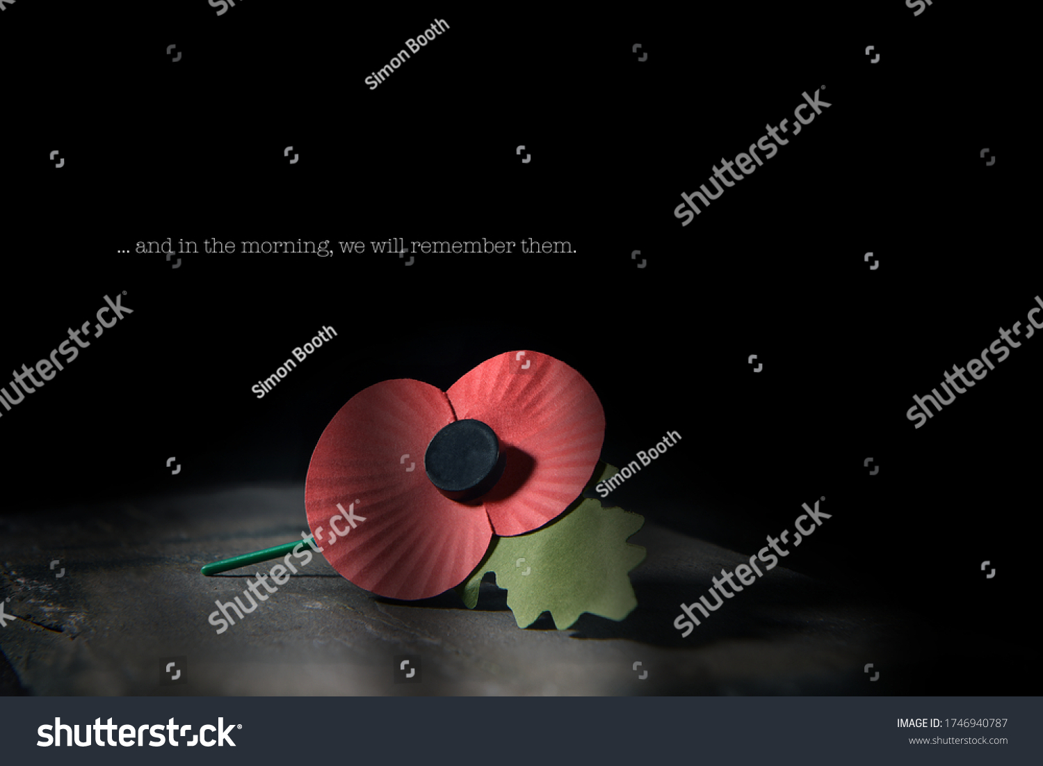 Creatively lit concept image for World War remembrance day where the red poppy is worn by millions around the world on their lapels as a symbol of remembrance to those fallen in war. Copy space. #1746940787