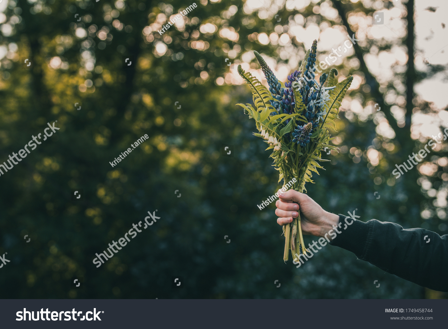 Male hand holding a bouquet of midsummer themed flowers. Fern, lupine and other meadow flowers with golden backlighting from the Sun, creating bokeh bubbles. Shallow depth of field. Dark, moody tones #1749458744