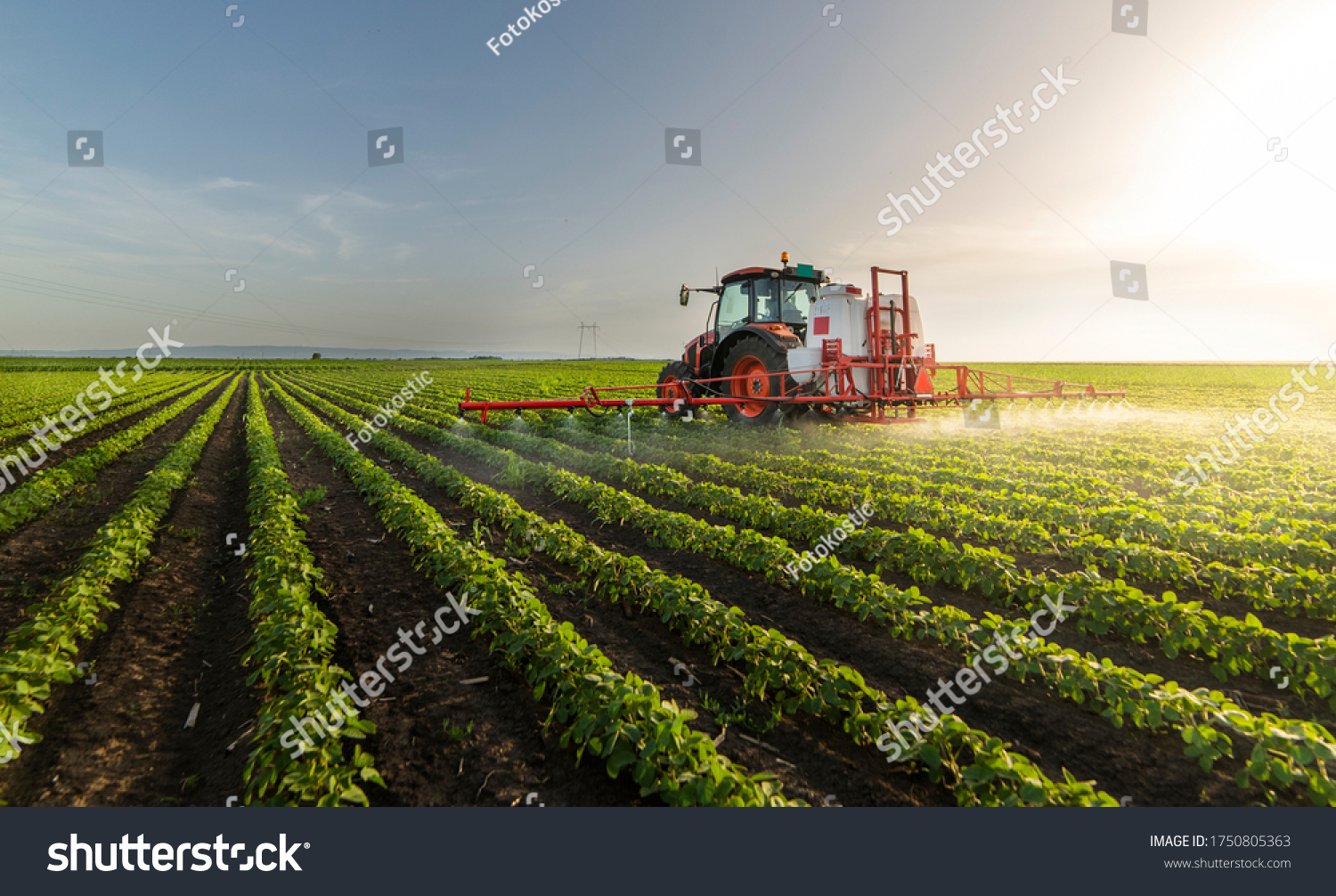Tractor spraying pesticides on soy field  with sprayer at spring #1750805363