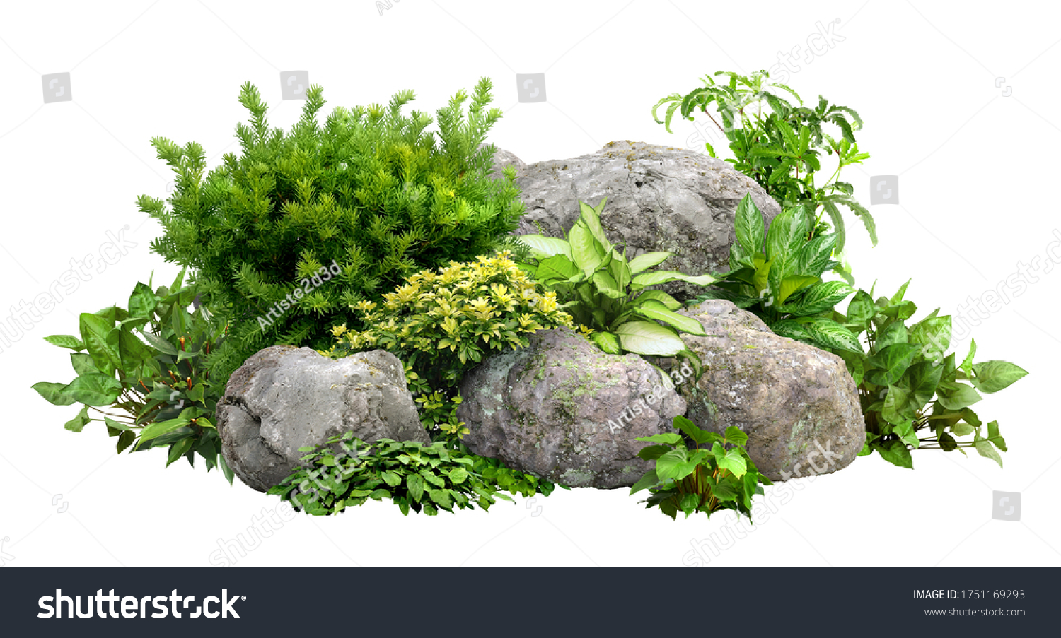 Cutout rock surrounded by flowers.
Garden design isolated on white background. Flowering shrub and green plants for landscaping. Decorative shrub and flower bed. #1751169293
