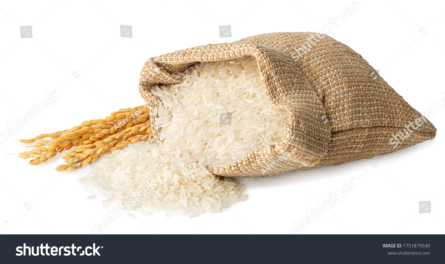 long rice in burlap sack with ears isolated on white background #1751879540