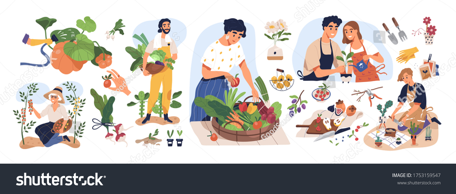 Set of different people enjoy gardening and planting vector flat illustration. Man and woman with fresh vegetables and fruits isolated on white. Farmers and gardeners doing job or agricultural hobby #1753159547