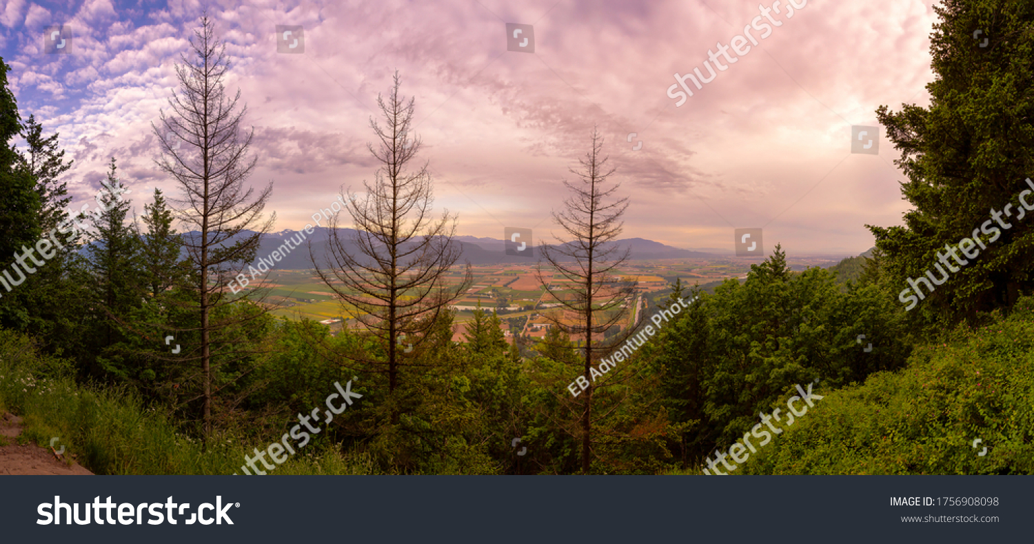 Beautiful Panoramic Landscape View of Fraser Valley from Abby Grind Hike during a colorful sunset. Taken in Abbotsford, East of Vancouver, British Columbia, Canada. #1756908098