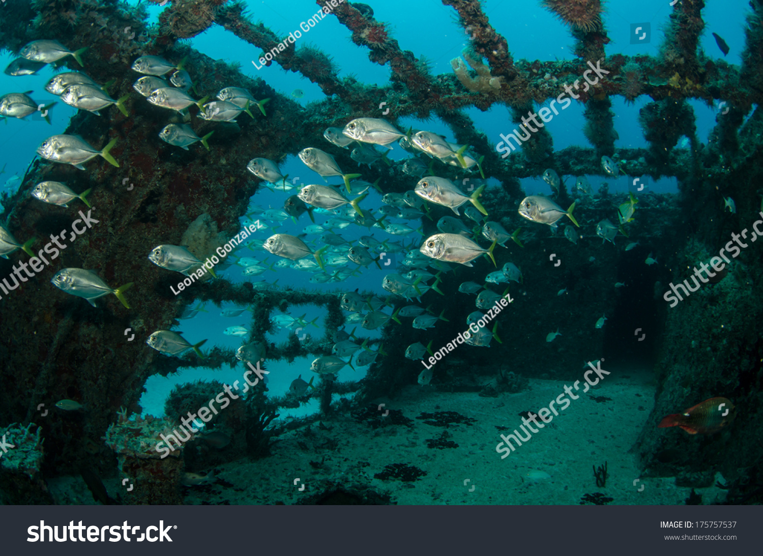 shipwreck from the coral reefs of the - Royalty Free Stock Photo ...