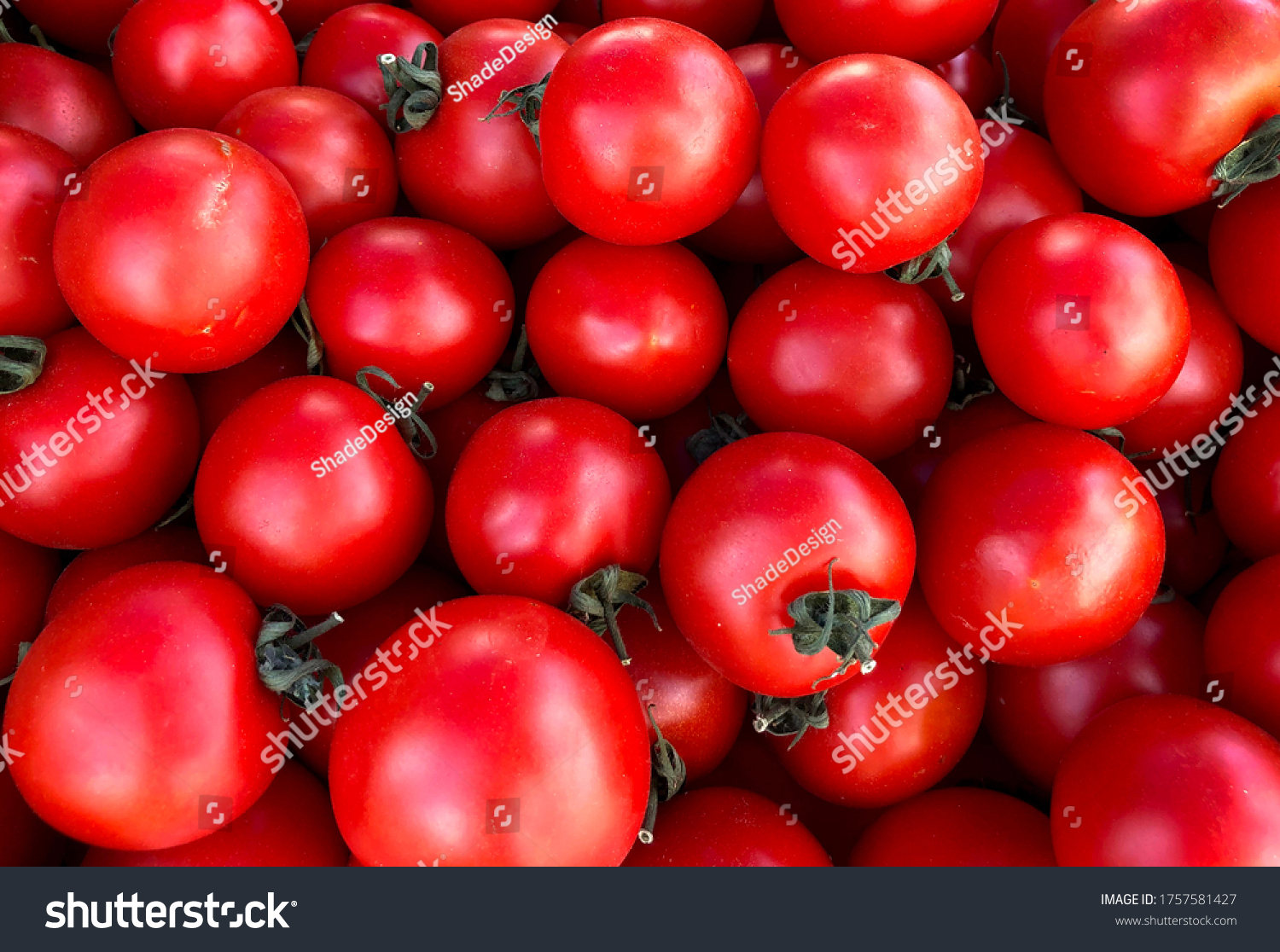 Macro Photo food vegetable tomato cherry. Texture background cherry tomatoes. Stock photo Cherry tomatoes are small juicy and red. #1757581427