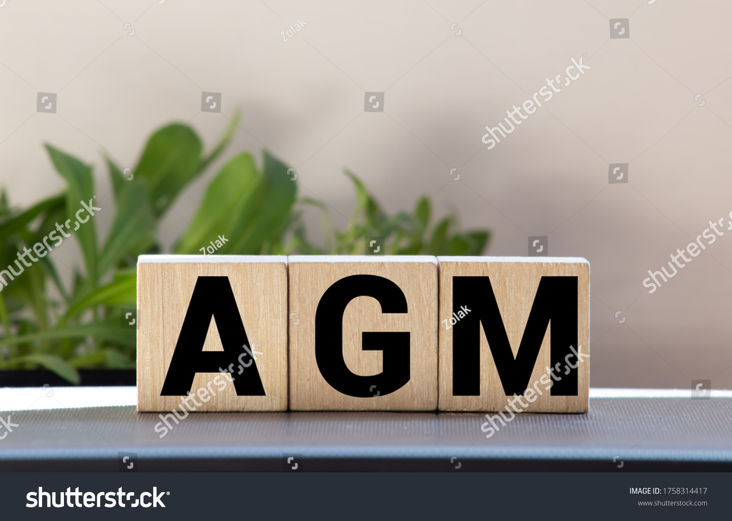 AGM Annual general meeting acronym on wooden cubes on blue backround. Business concept. #1758314417