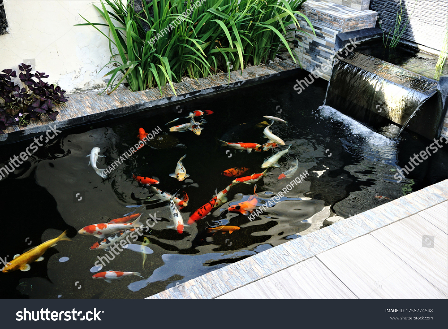 minimalist koi fish pond, rectangular shaped pond with a small waterfall, suitable for the backyard of the house #1758774548