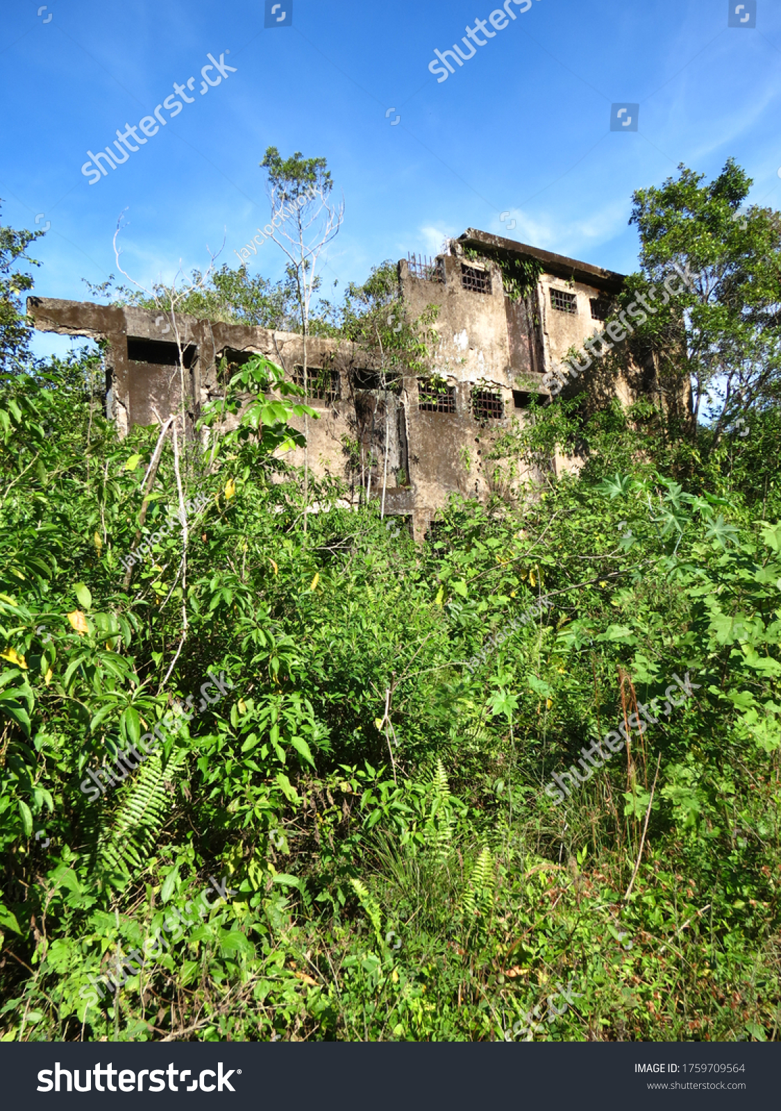 Penal Institute Ruins in Ilha Grande RJ Brasil  #1759709564