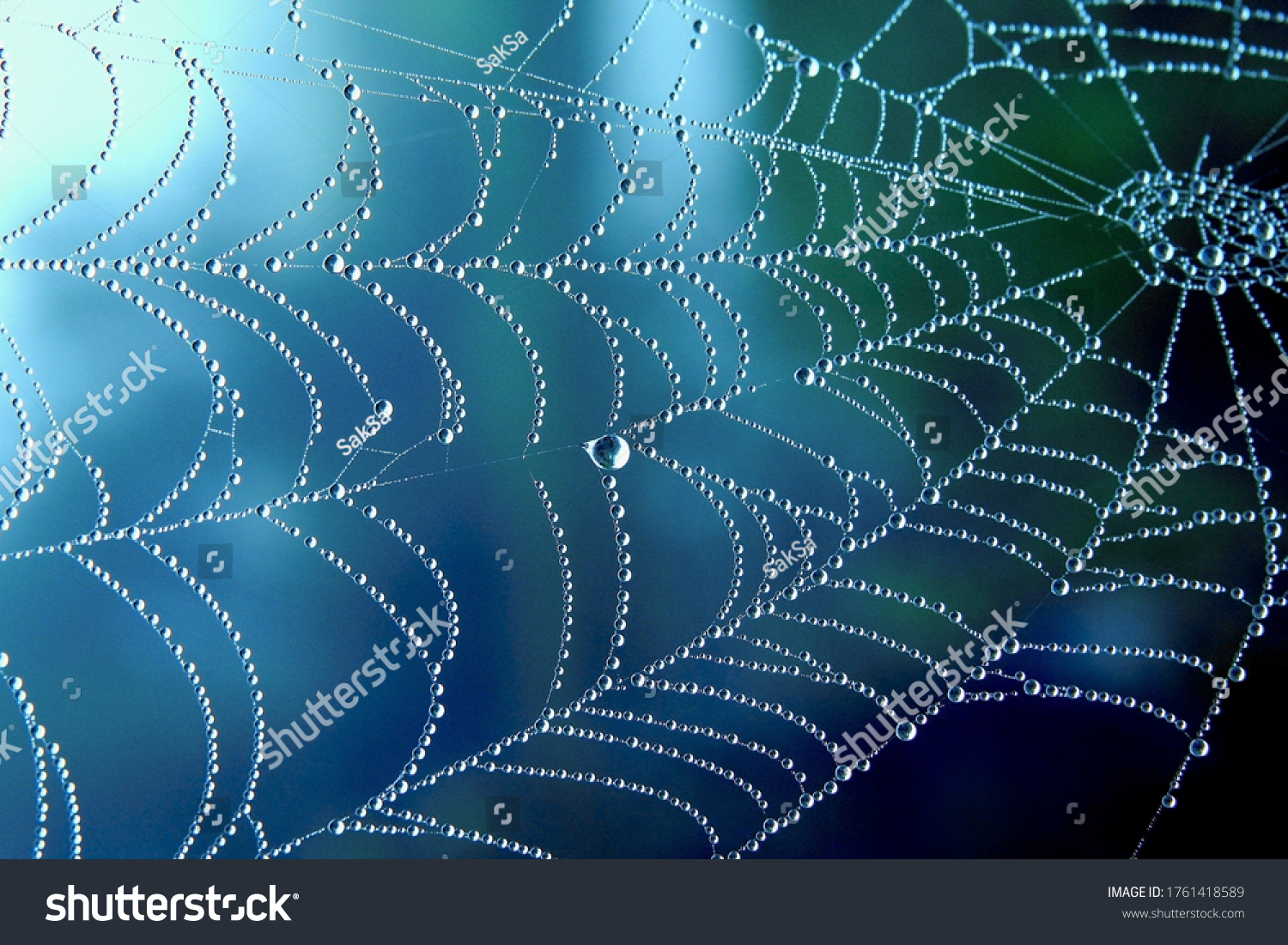 Cobweb or spiderweb natural rain pattern background close-up. Cobweb with drops of rain pattern in blue light. Cobweb net texture with morning rain bokeh. Partial blur view lines spider web necklace #1761418589
