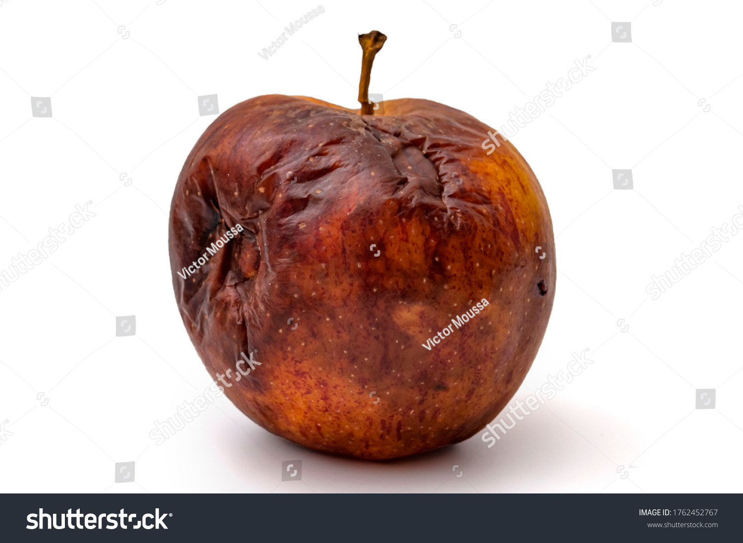 Rotting apples, decay and food waste concept with photograph of unhealthy decayed bad apple isolated on white background with clipping path cutout #1762452767