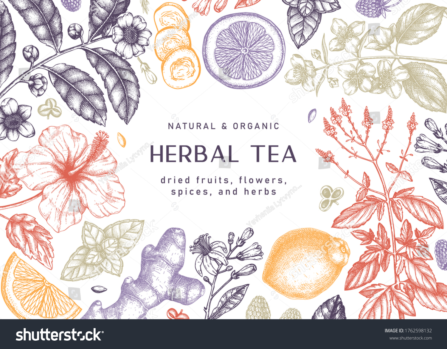 Hand sketched herbal tea ingredients banner. Vintage herbs, leaves, flowers, fruits hand drawings background. Perfect for recipe, menu, label, packaging. Herbal tea template.  Botanical illustration. #1762598132