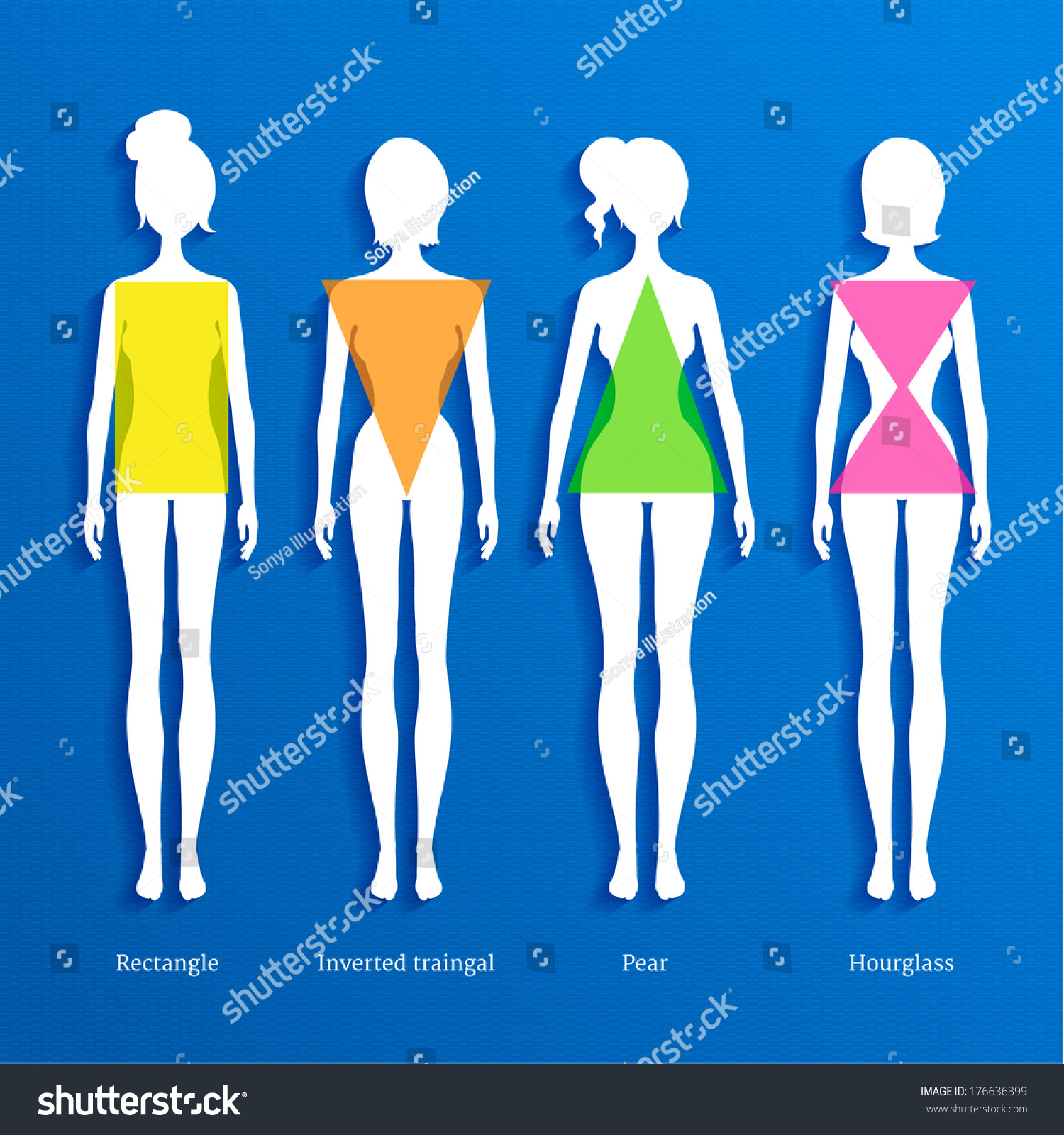 Female Body Types Royalty Free Stock Vector 176636399 