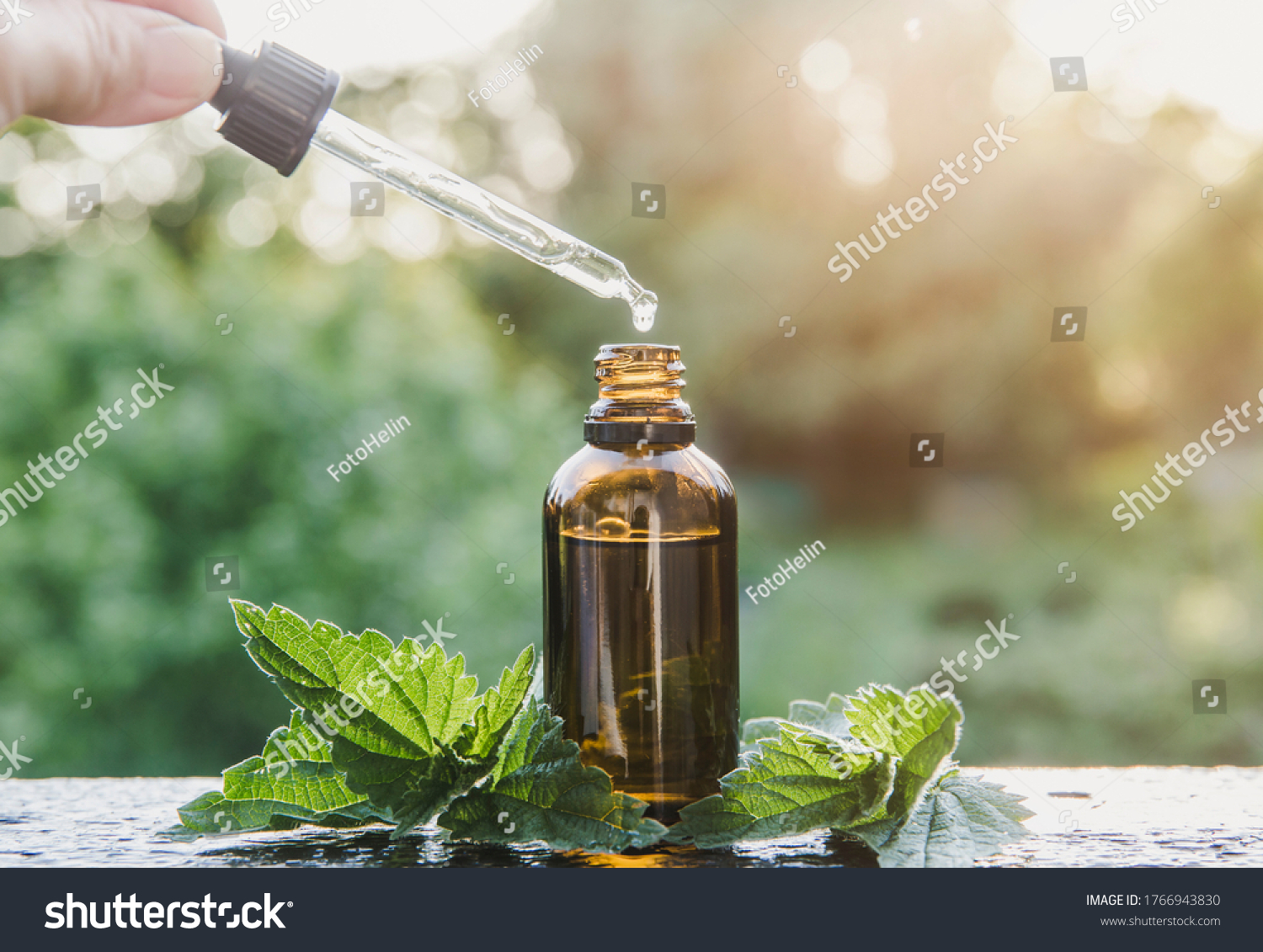 Wild organic Urtica dioica, common nettle, stinging nettle tincture in small brown glass bottle outdoors. Woman taking drop with dropper. Lifestyle shot, bokeh background with copy space. #1766943830
