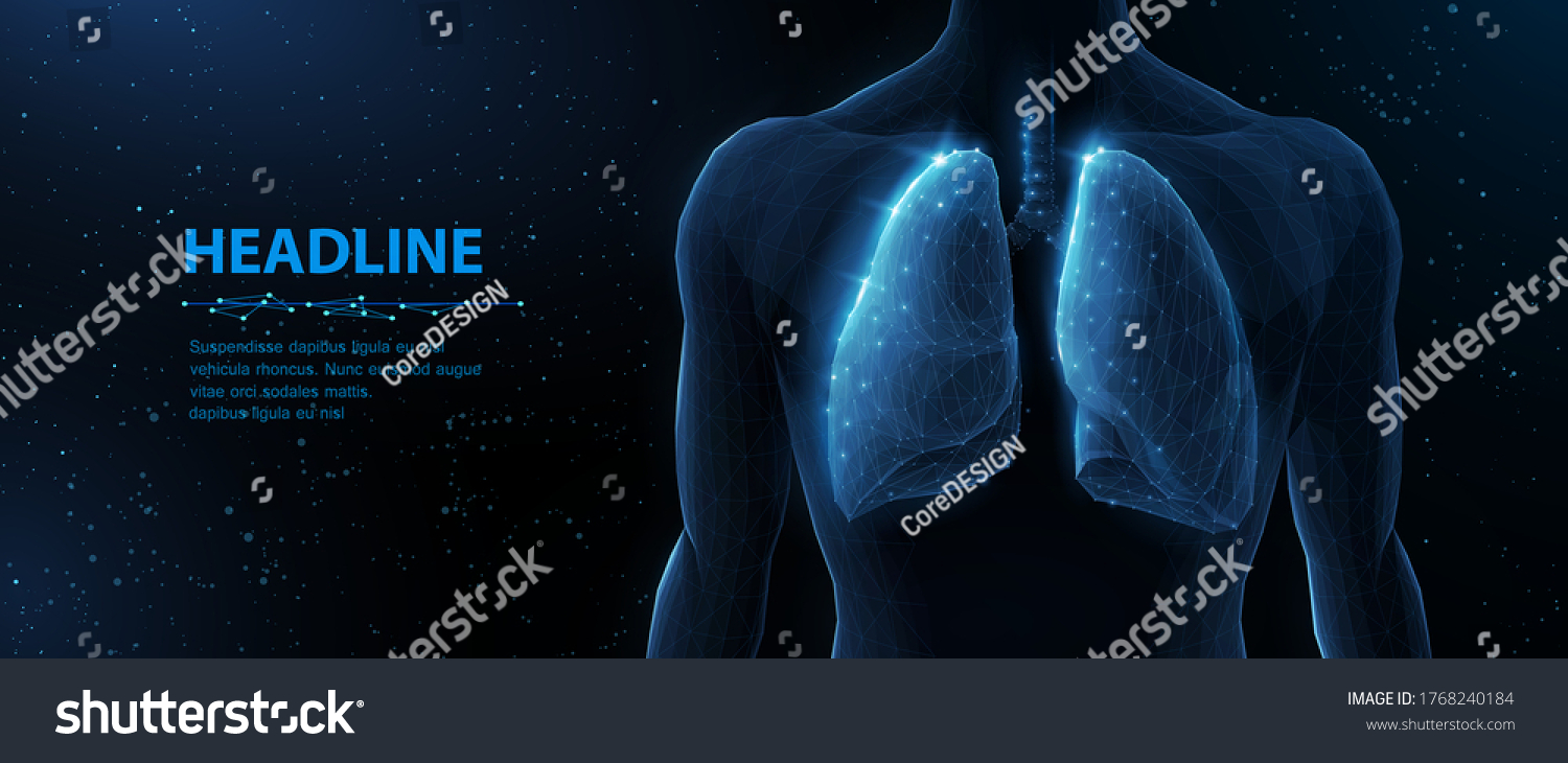 Lung and human body. Abstract vector 3d lungs on body background. Human health, respiratory system, pneumonia illness, biology science, smoker asthma, healthcare concept. Organ anatomy illustration #1768240184