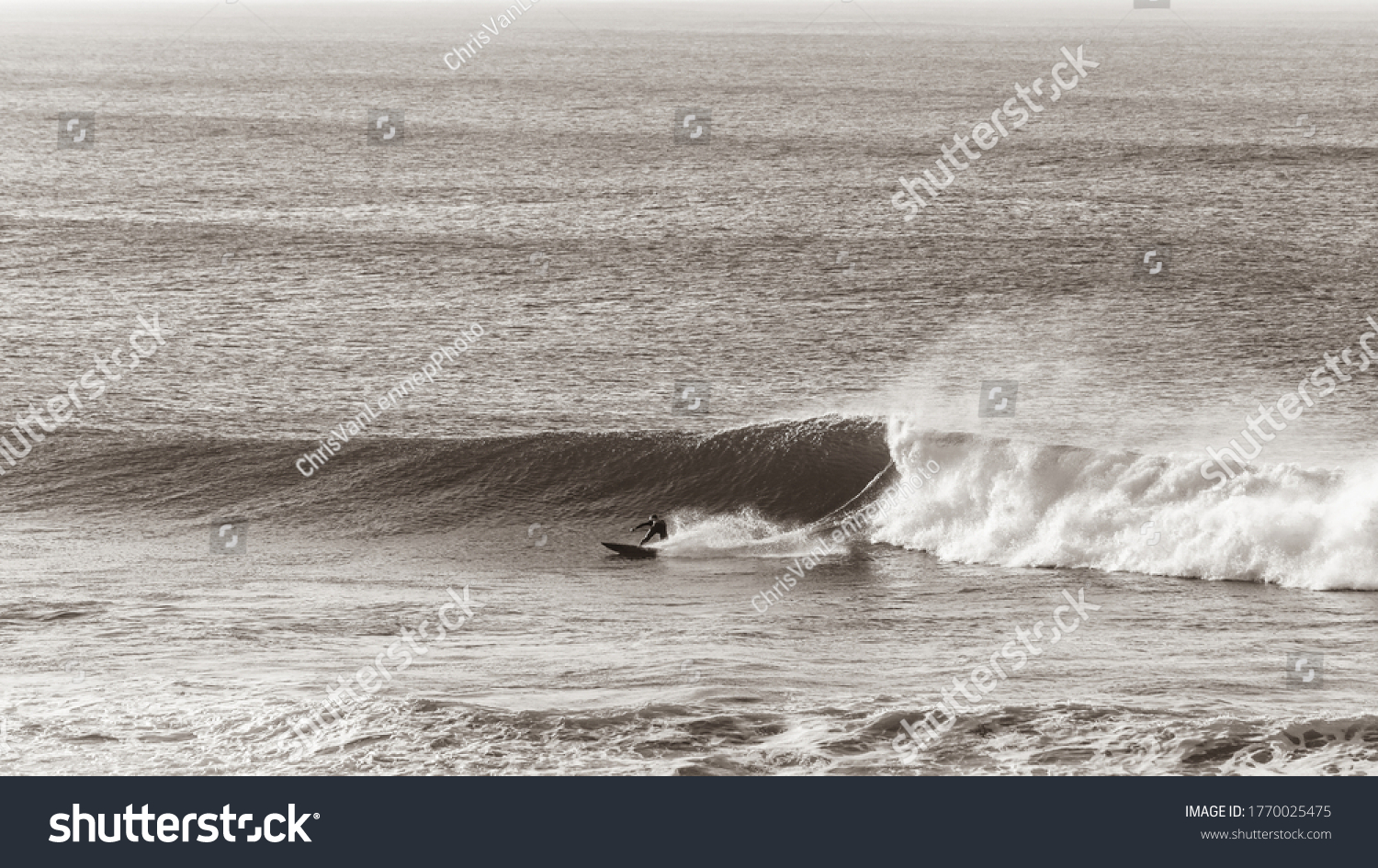 Surfer Surfing bottom turning on ocean wave in vintage sepia tone  overlooking  panoramic photo. #1770025475