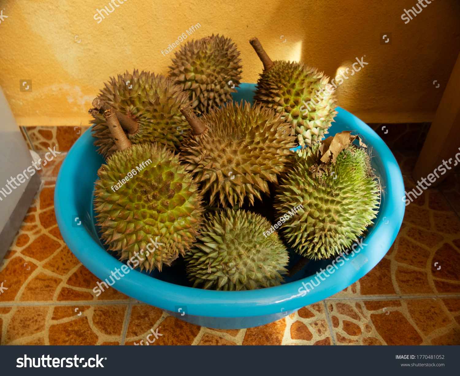 Durian Fruit From Batu Kurau Stated In Perak Royalty Free Stock Photo 1770481052 Avopix Com