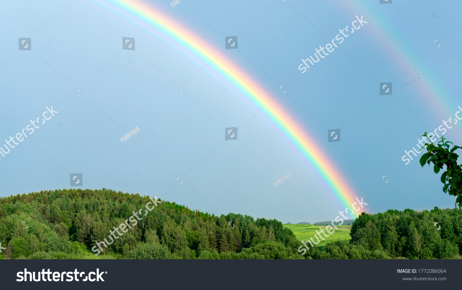 Double rainbow on a gray sky after rain. A rare atmospheric phenomenon after a storm. Beautiful hilly landscape with a real rainbow after rain on a summer day. #1772086064